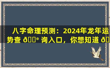 八字命理预测：2024年龙年运势查 💮 询入口，你想知道 🐴 的都在这里！